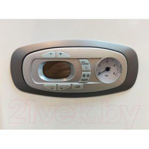 Газовый котел Ferroli Divatech D HF 24 (EX)