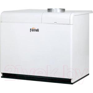 Газовый котел Ferroli Pegasus F3 N 119 2S