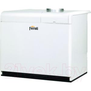 Газовый котел Ferroli Pegasus F3 N 153 2S