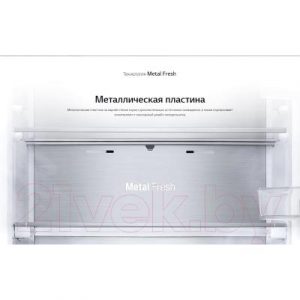 Холодильник с морозильником LG DoorCooling+  GA-B509CBTL