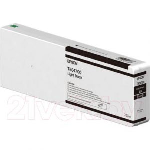 Картридж Epson C13T804700