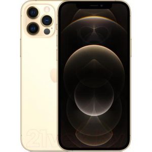 Смартфон Apple iPhone 12 Pro 256GB / MGMR3 (золото)