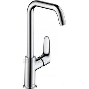 Смеситель Hansgrohe Focus 31609000