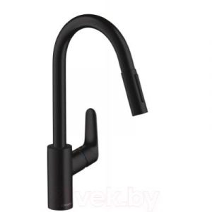 Смеситель Hansgrohe Focus 31815670